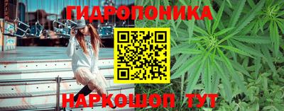 ешки Тара
